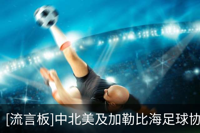 [流言板]中北美及加勒比海足球协会官方：拒绝接受FIFA卖世界杯计划